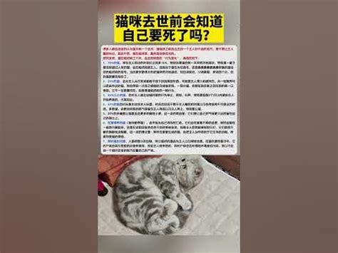 猫死了|猫咪去世前会知道自己要死了吗？